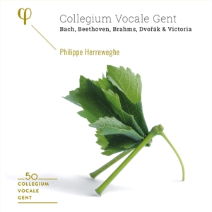 Collegium Vocale Gent – 50th Anniversary