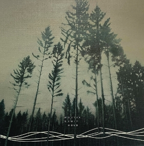 Dewit, Wouter – Hold