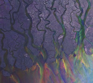 Alt-J – An Awesome Wave