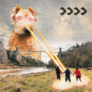 Beak> – >>>>