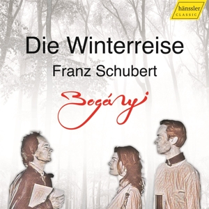 Trio Boganyi – Schubert: Die Winterreise, Op. 89 (Instrumental)