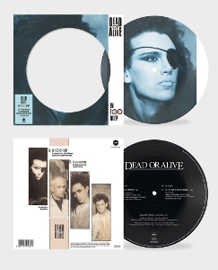 Dead or Alive – 7-In Too Deep