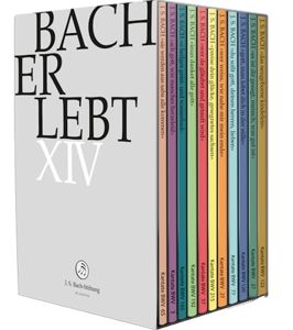 Choir & Orchestra of the J.S. Bach Foundation – Bach Erlebt Xiii