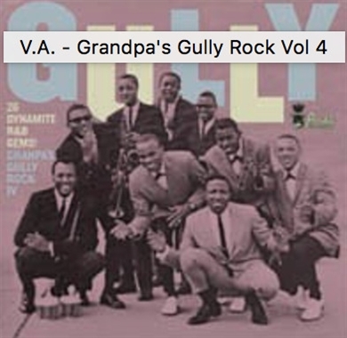 V/A – Grandpa's Gully Rock 4