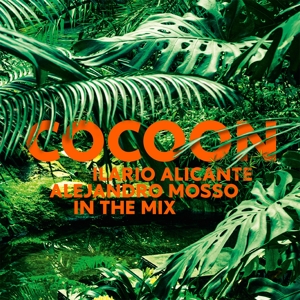 V/A – Cocoon Ibiza 2013