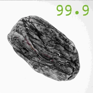 99.9 – Silex