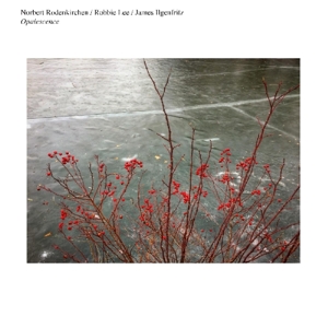 Rodenkirchen, Norbert – Opalescence