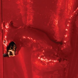 Basinski, William – A Red Score In Tile