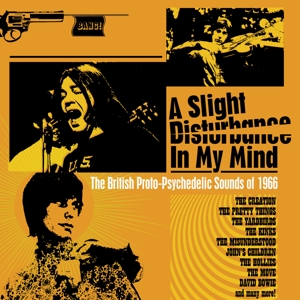 V/A – A Slight Disturbance In My Mind