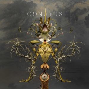 Beving, Joep – Conatus