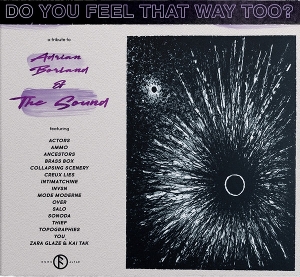 V/A – Do You Feel That Way Too?