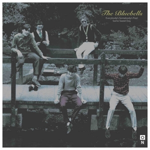 Bluebells – 7-Everybody's Somebody's Fool