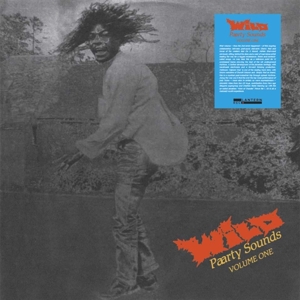 V/A – Wild Paarty Sounds Vol. 1