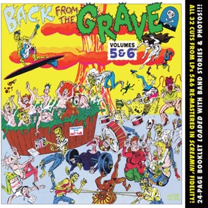 V/A – Back From the Grave, Vol. 5 & 6