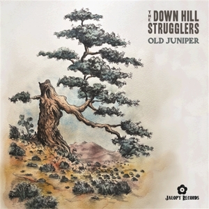 Down Hill Strugglers – Old Juniper