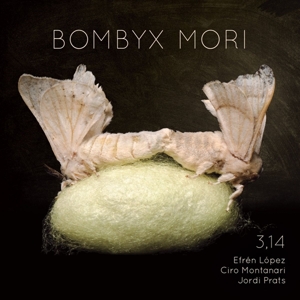 3.14 – Bombyx Mori