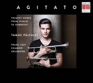 Tamas Palfalvi – Agitato