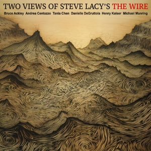 Ackley, Bruce & Andrea Centazzo & Tania Chen & Danielle Degruttola & Henry Kaiser & Michael Manring – Two Views of Steve Lacys the Wire