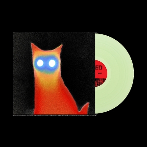 Basement – Wired