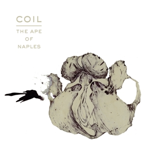 Coil – Ape of Naples