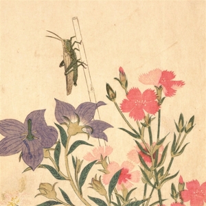 Chypho – Entomongaku Ii