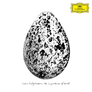 Hallgrimsson, Snorri – The Importance of Birds