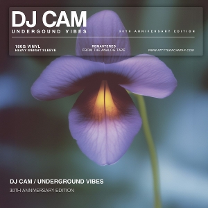 DJ Cam – Underground Vibes