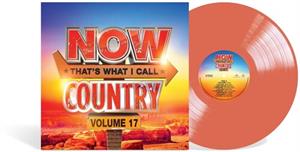 V/A – Now Country 17