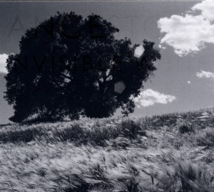 Ancestors – Invisible White