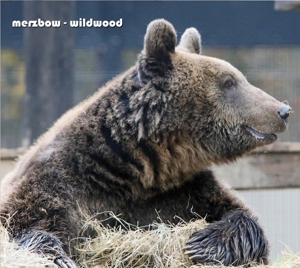 Merzbow – Wildwood
