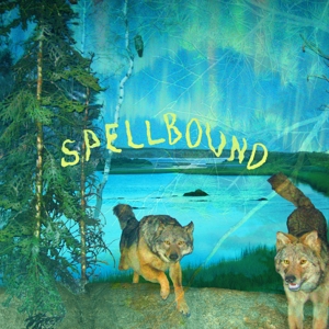 Boyscott – Spellbound