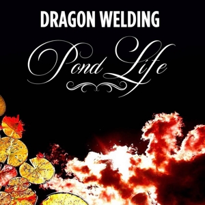 Dragon Welding – Pond Life