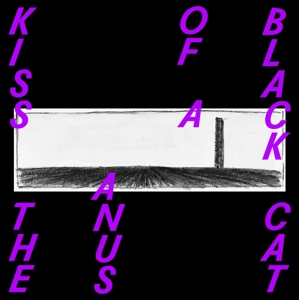 Kiss the Anus of a Black Cat – If the Sky Falls, We Shall Catch Larks