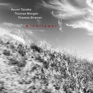 Tanaka, Ayumi – Windflower