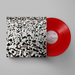 Donnelly, Stella – Flood