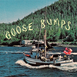 Boyscott – Goose Bumps