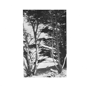 Deitrick, Rick – Gentle Wilderness