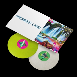 Vintage Culture – Promised Land