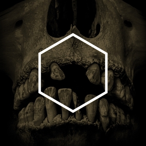 V/A – Others