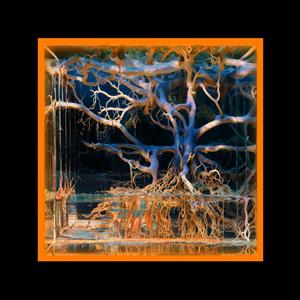 Batu – Question Mark