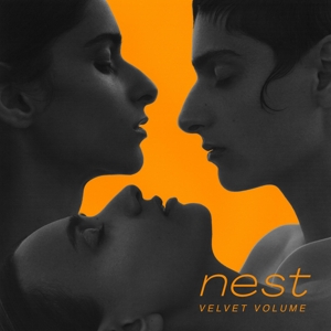 Velvet Volume – Nest