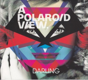 A Polaroid View – Darling
