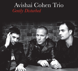 Avishai Cohen Trio – Gently Disturbed