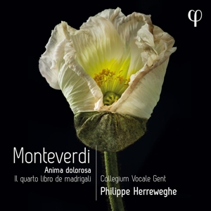 Collegium Vocale Gent – Monteverdi: Il Quarto Libro De Madrigali