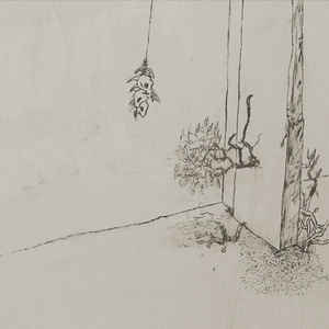 Ciupidro, Marcin – Talking Tree