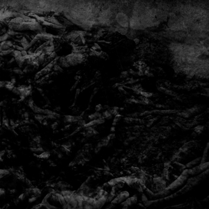 Dark Circles – Split