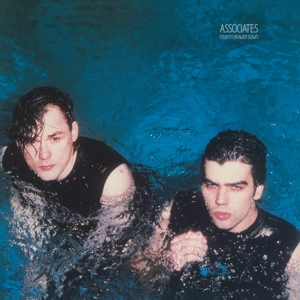 Associates – Fourth Drawer Down