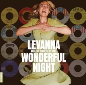 V/A – Wonderful Night Curated By Levanna