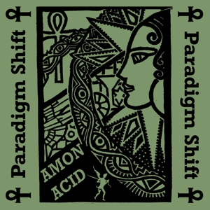 Amon Acid – Paradigm Shift