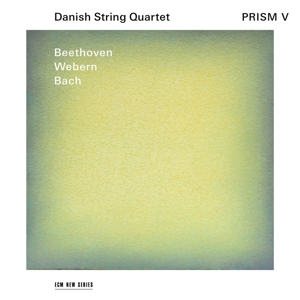Danish String Quartet – Prism V